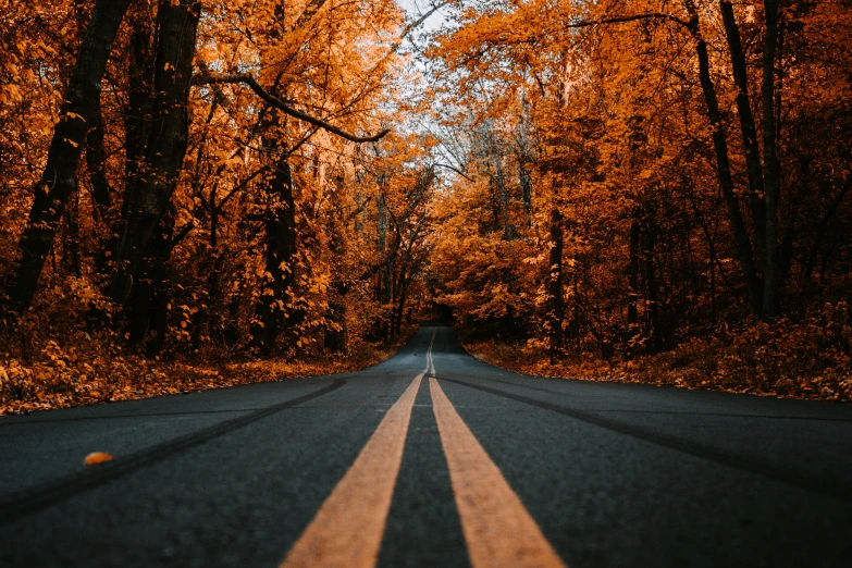 an empty street with a yellow line and trees with orange leaves