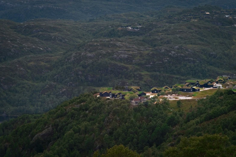 houses nestled on top of a forested hillside