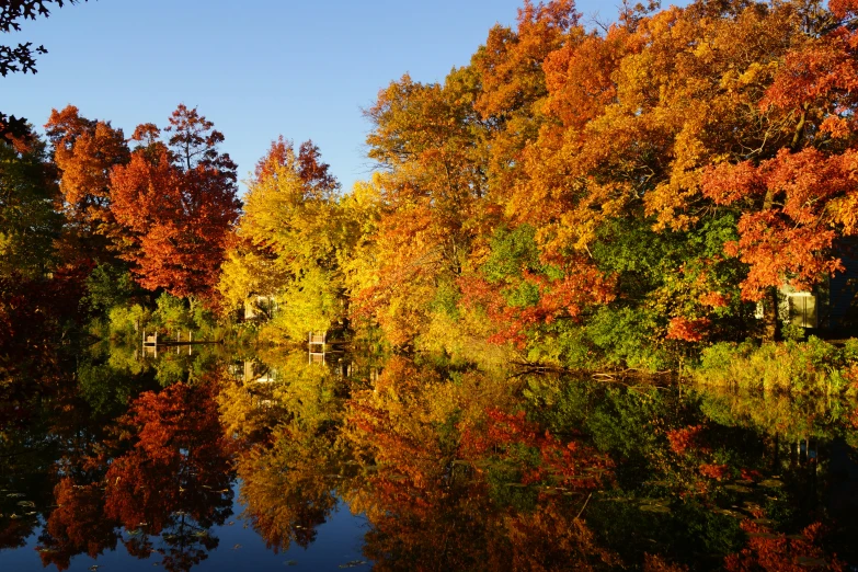 a lake surrounded by fall trees with orange and red leaves on it