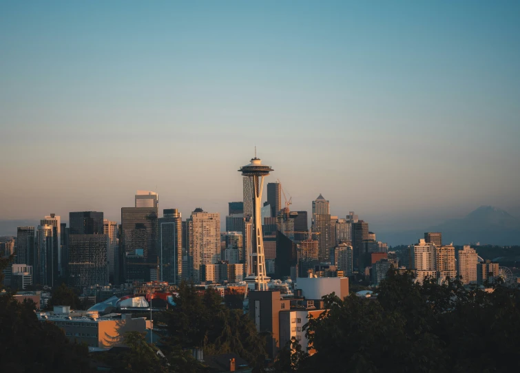 view of the space needle from the top of the hill