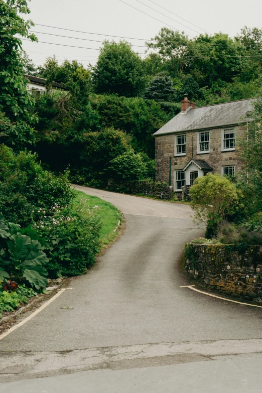 two houses that are near each other in the woods