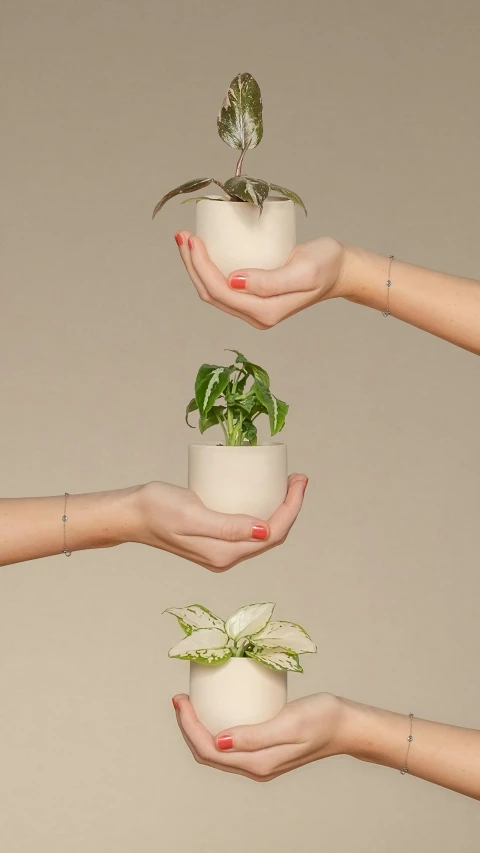 three hands reaching towards each other to put a plant in some pots