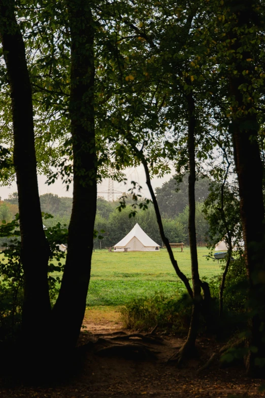 a tent and trees in the background in a grassy field