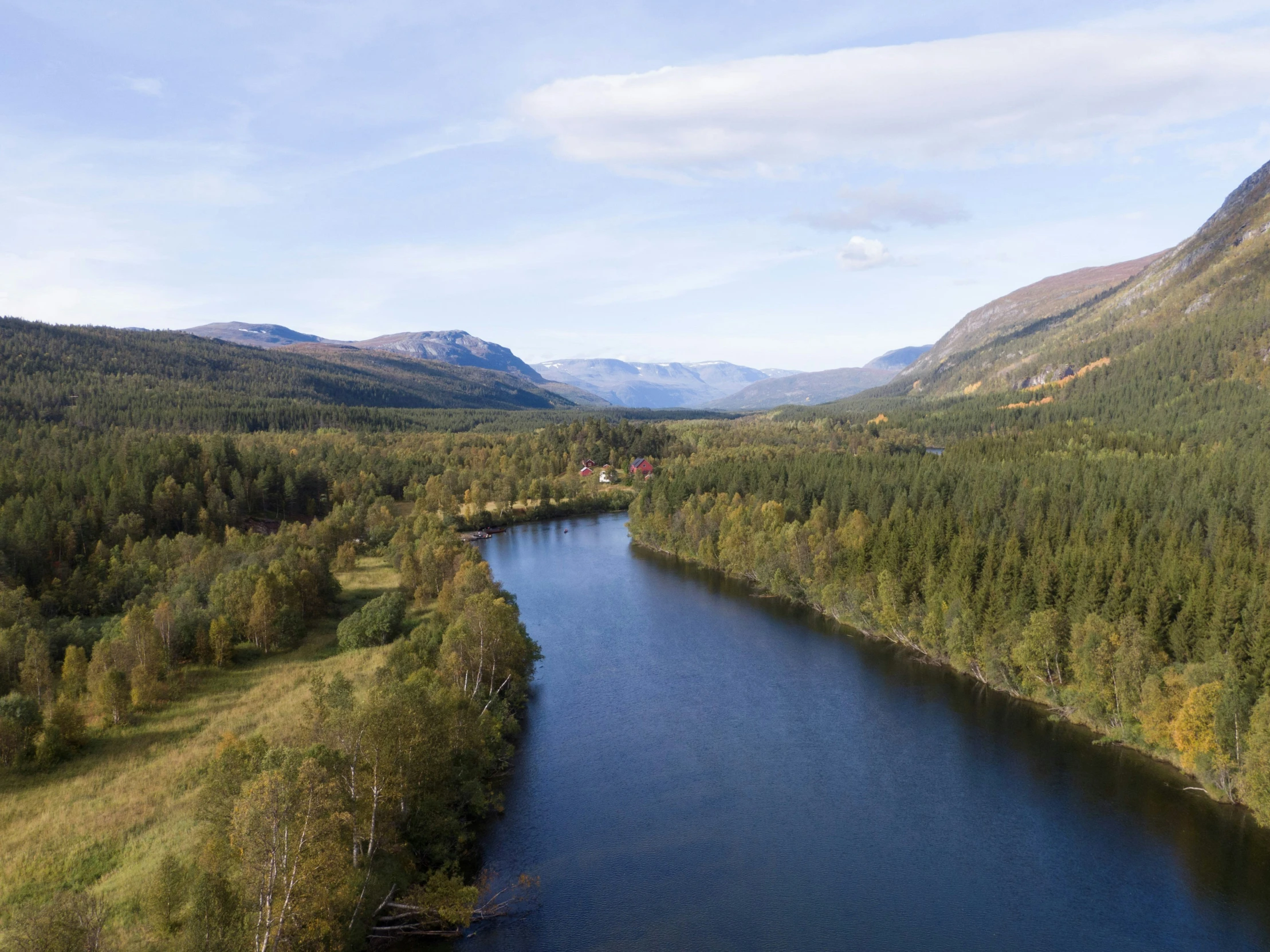 an image of a beautiful nature scene with trees