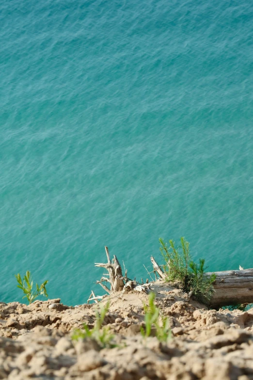 a lone bird on a rock cliff above the ocean