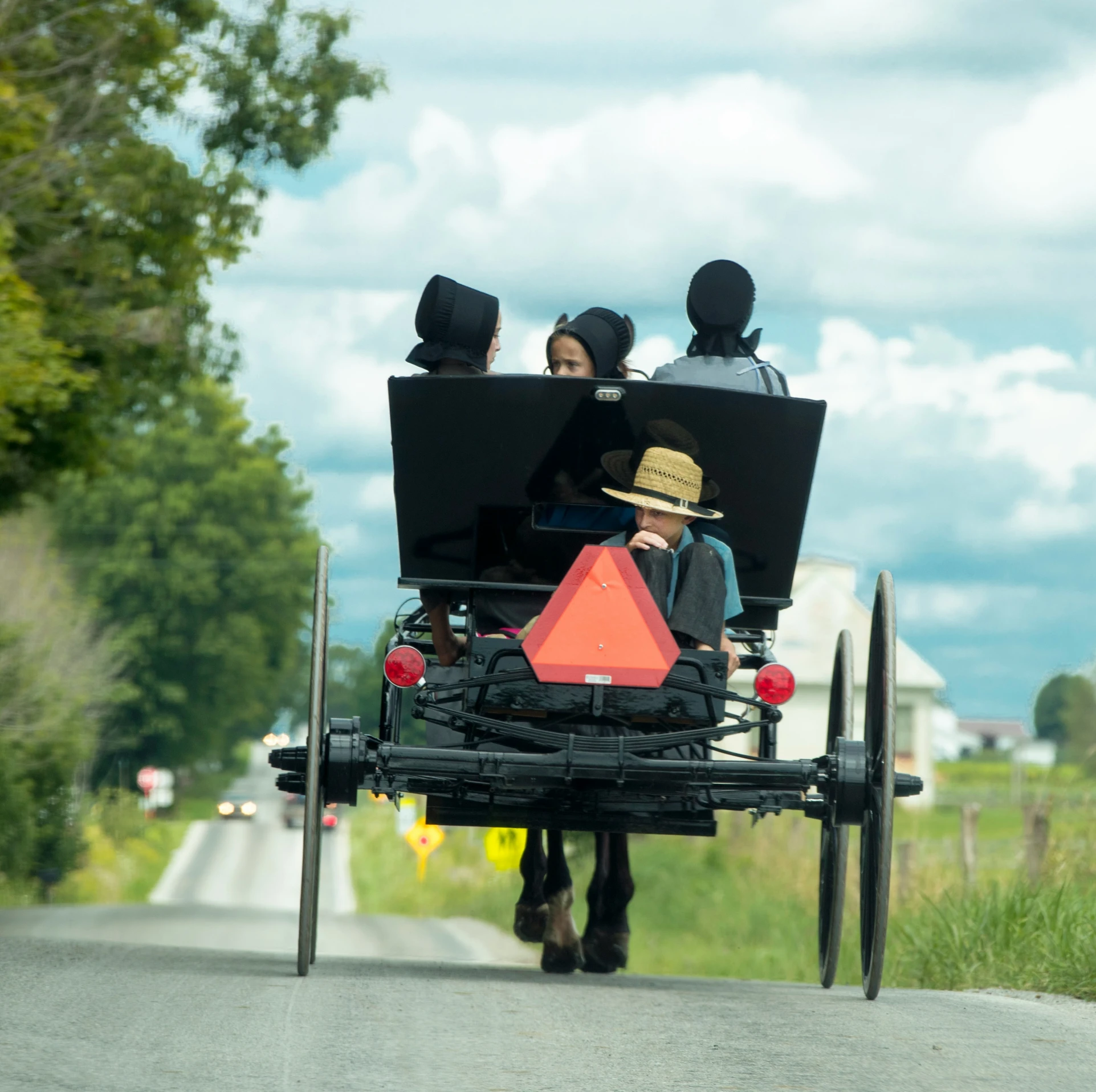 a group of people ride in a horse drawn carriage