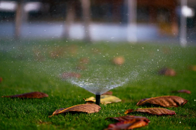 a sprinkle is spraying on leaves that are lying in the grass