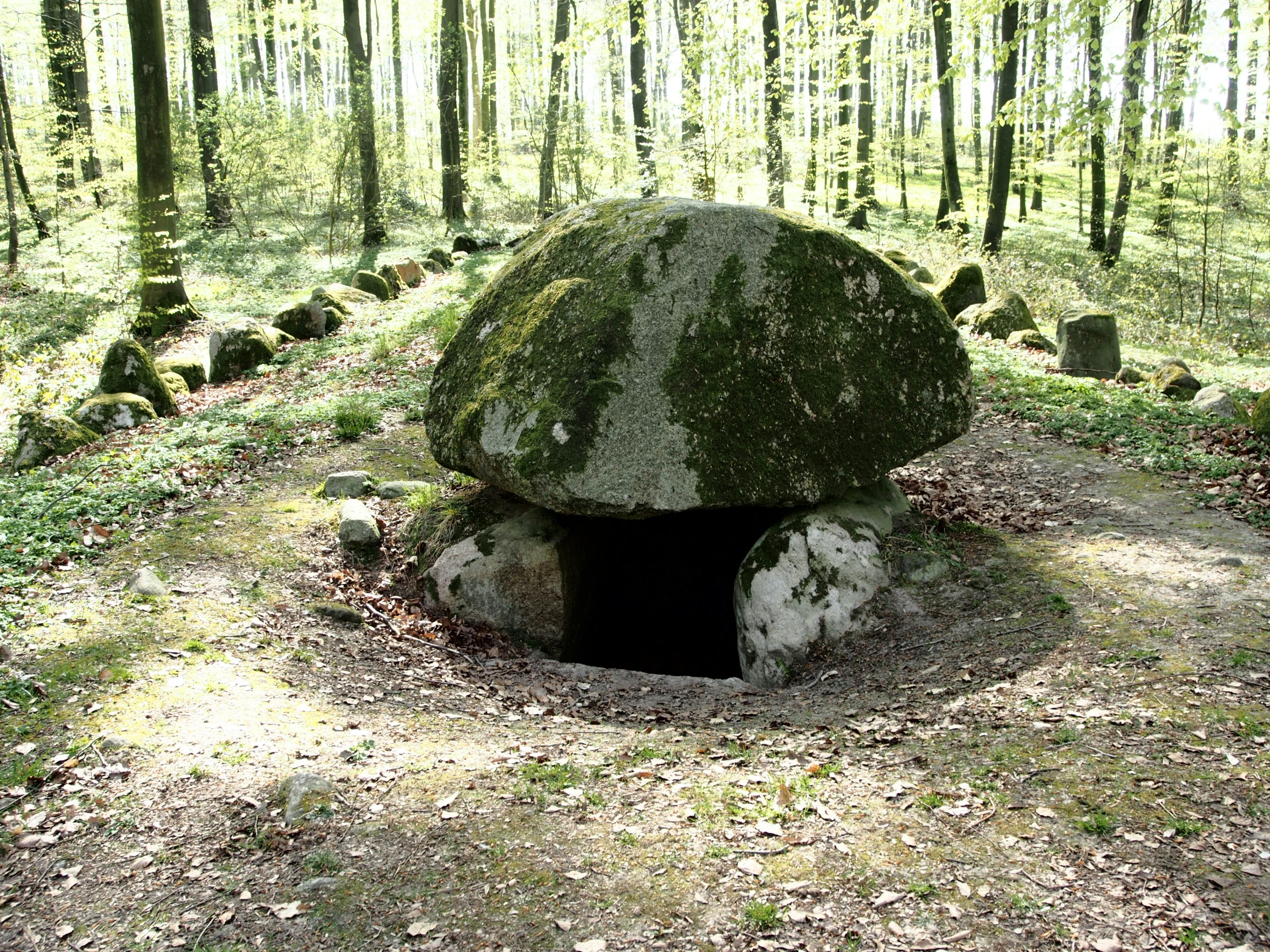 a forest filled with large stones next to trees