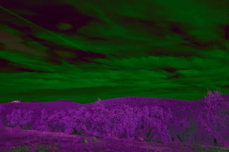 green and purple sky and trees with cloudy clouds