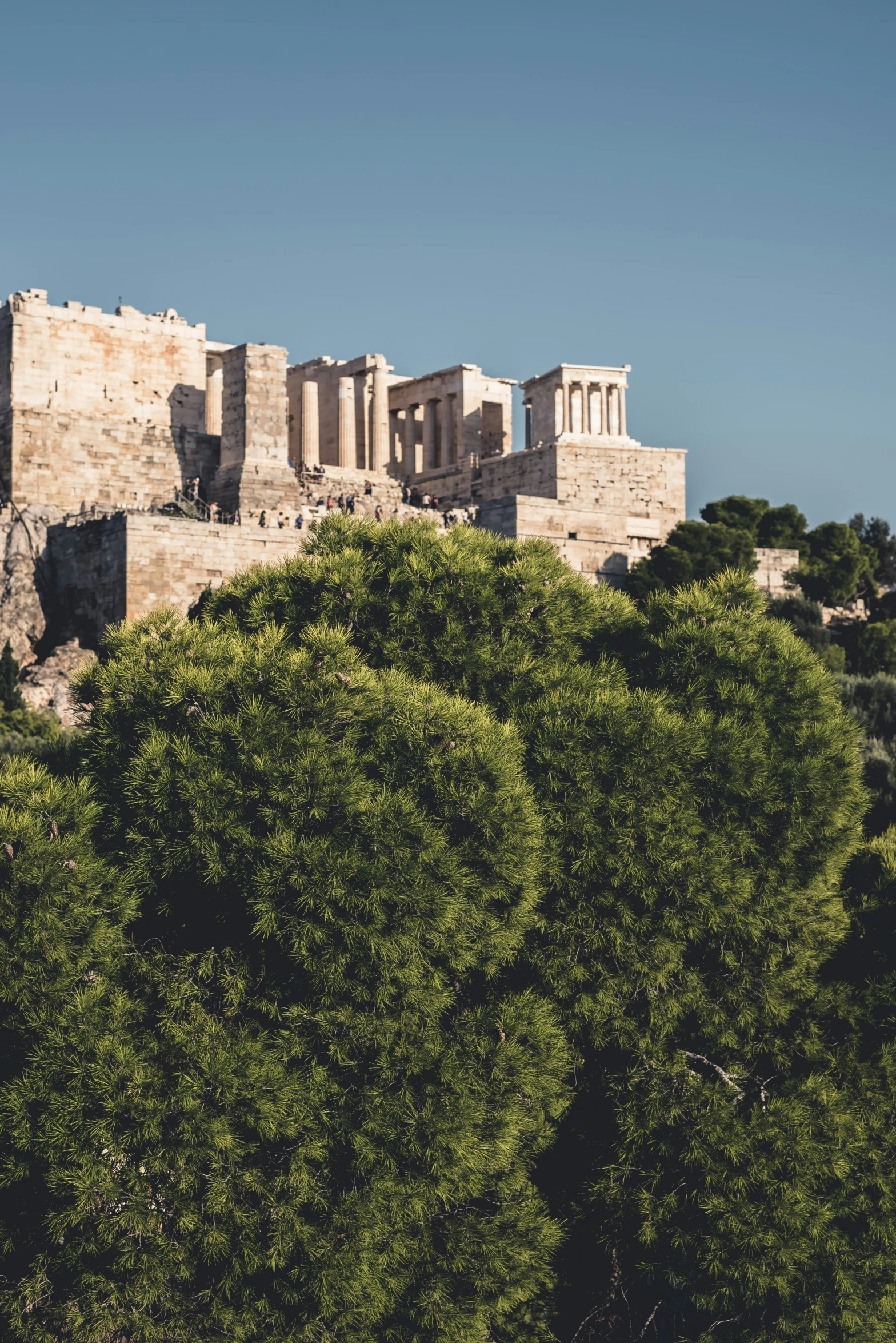 an ancient castle sits atop a hill amongst trees