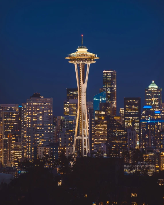 the space needle in seattle is lit up at night