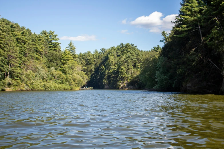 the river is full of lots of water and green trees