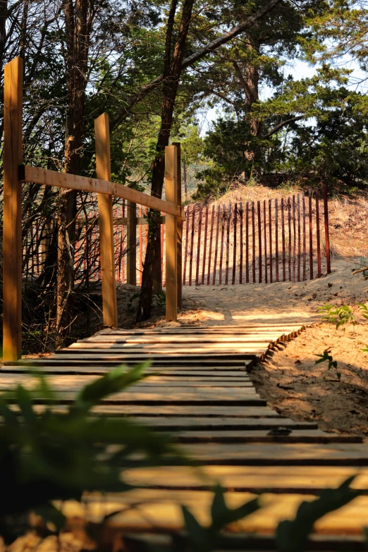 wooden path running through a small park near some trees