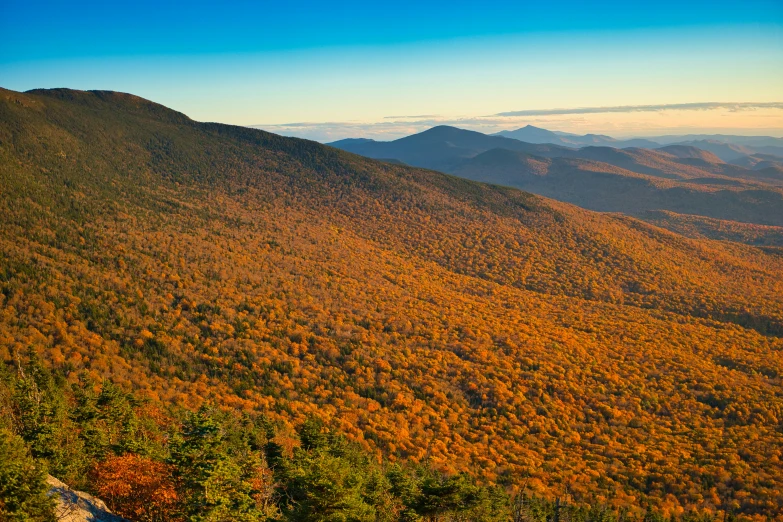 an aerial view of many tall mountains and trees