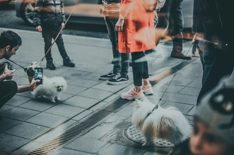 people are standing on the sidewalk with a small dog