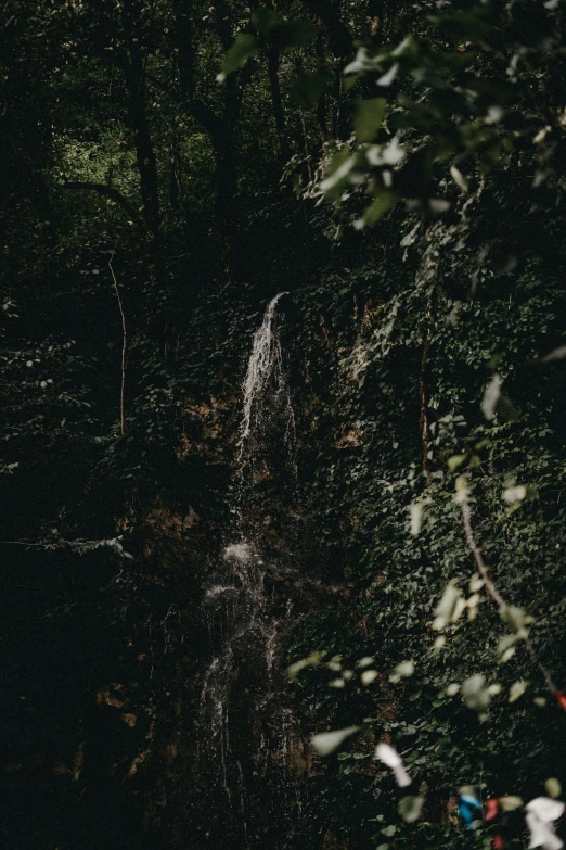 a large water fall surrounded by lots of foliage