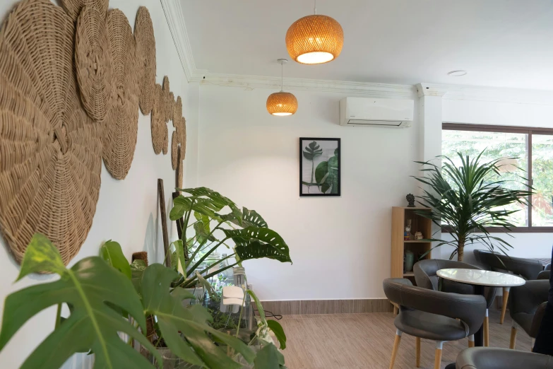 a restaurant with chairs, tables and green plants in the corner