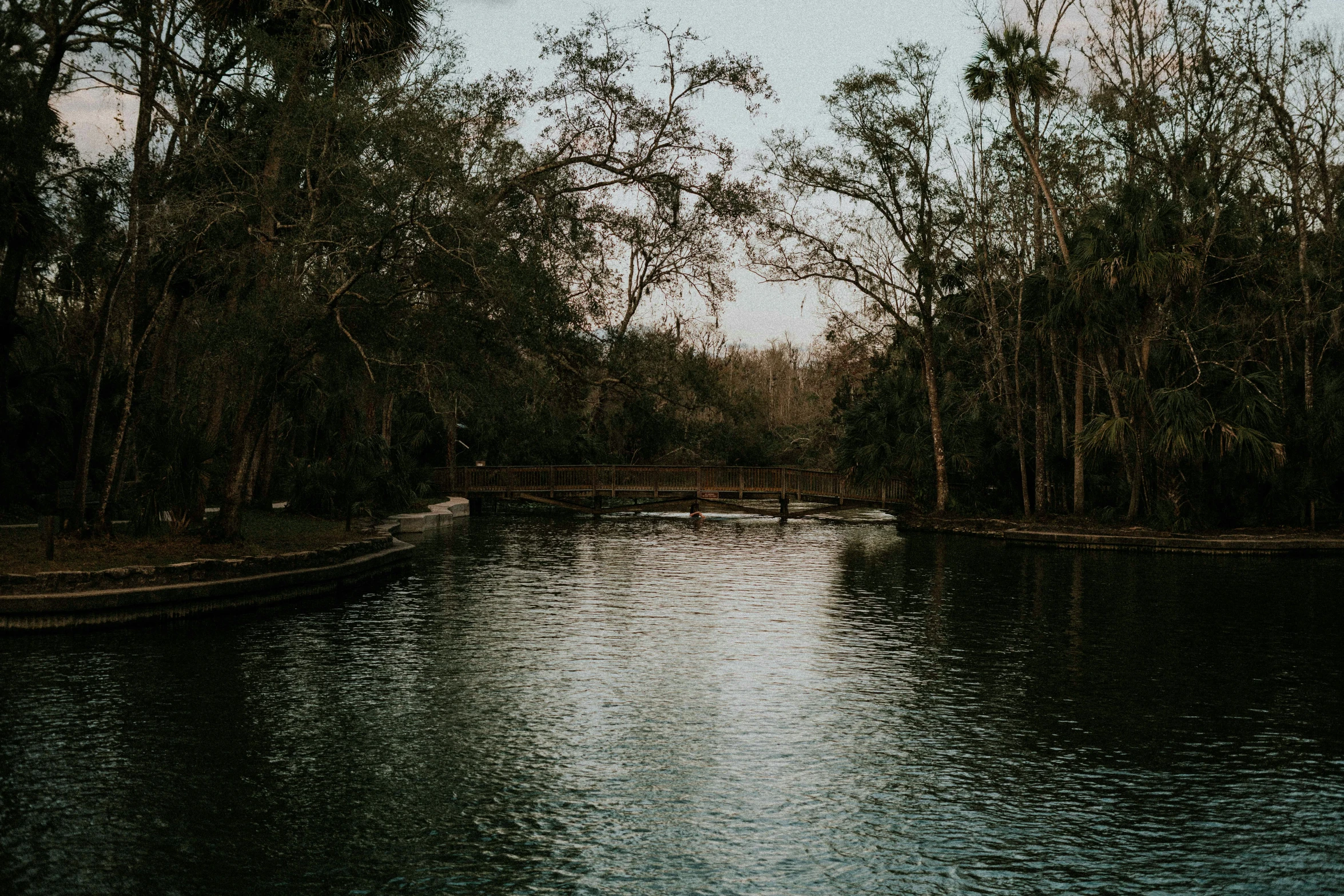 a boat on the water surrounded by trees