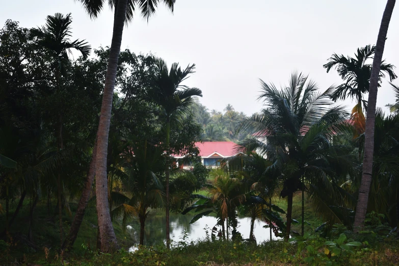 the large building has a red roof near palm trees