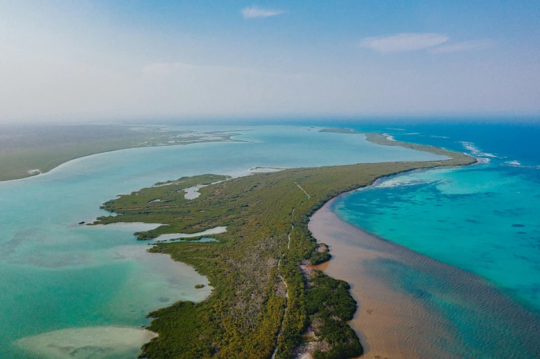 an island with many water sources and trees