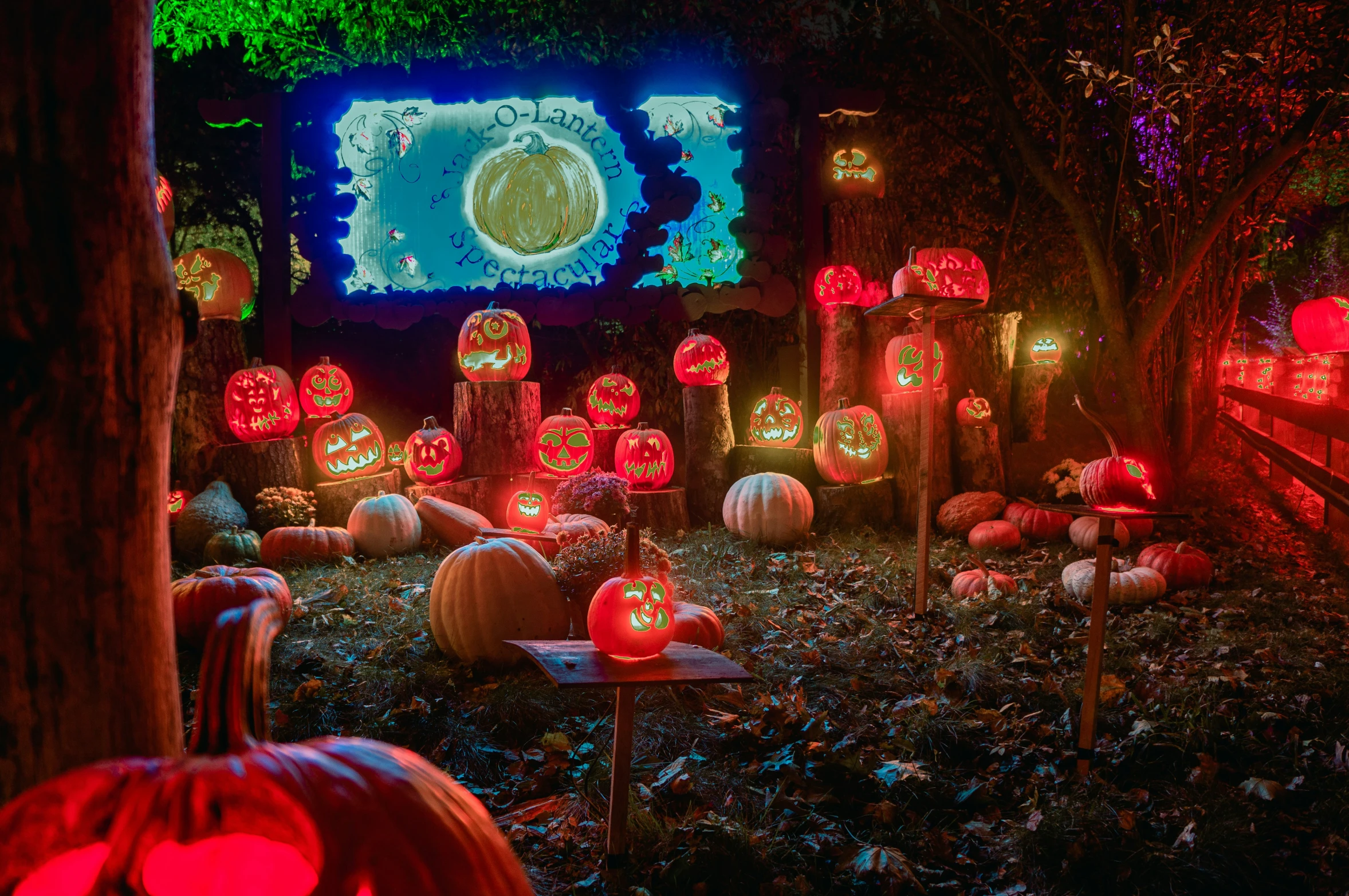 lighted pumpkins, ghost and trees fill a display of lights