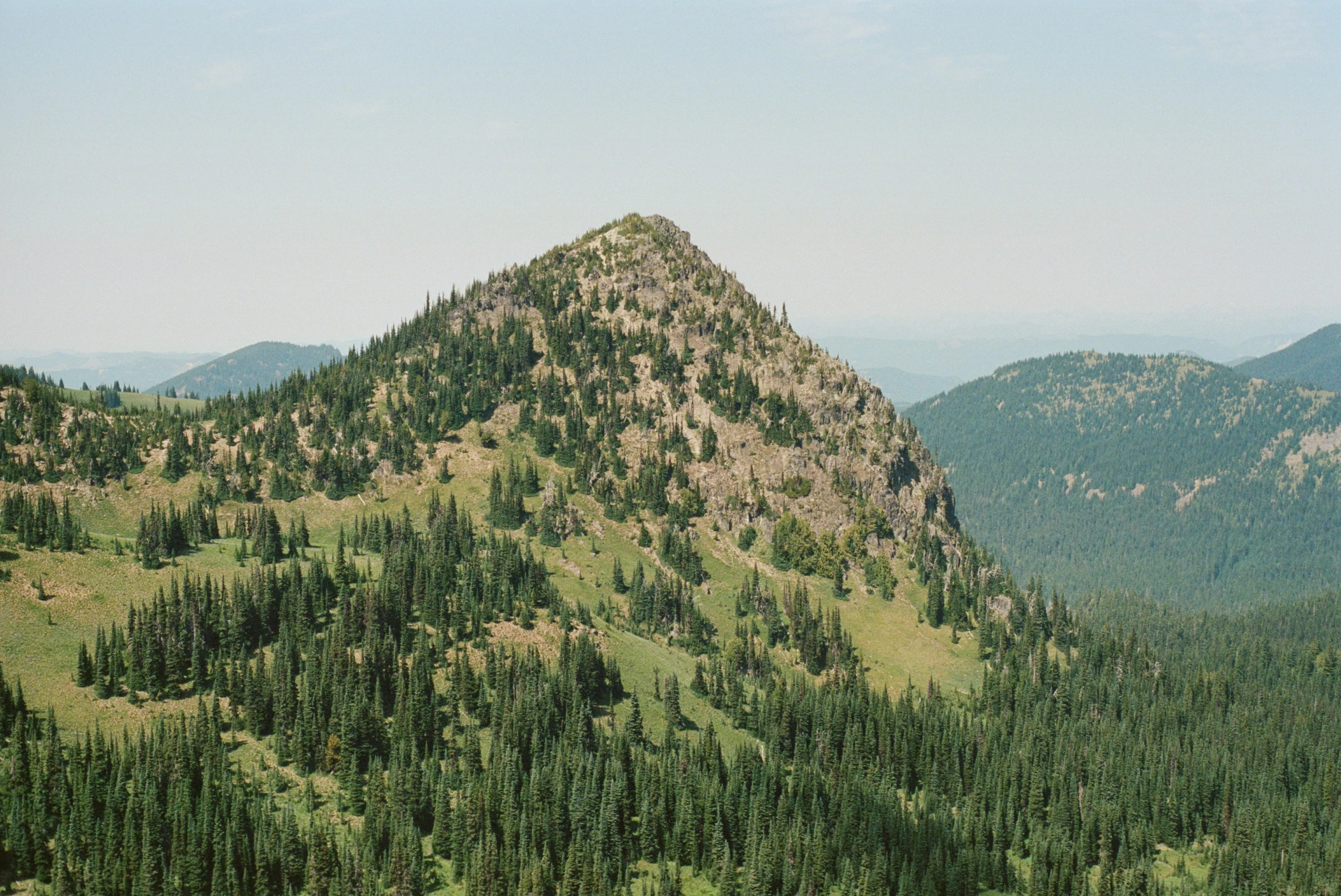 a mountain with lots of trees that have a tall top