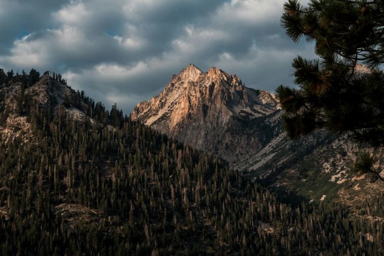 the mountains are covered in very pretty pine trees