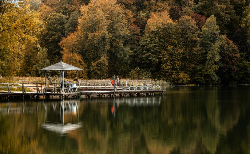 a gazebo sitting next to a dock in the middle of the woods