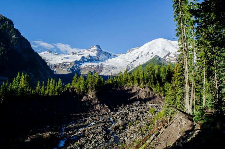 mountains, trees, and water all separated by rocky rocks