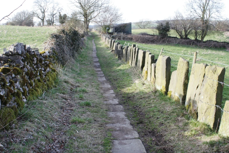 a stone path surrounded by green grass and large rocks