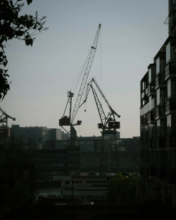 some cranes in the sky over buildings and trees