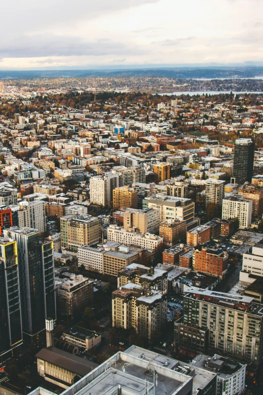 a large city with lots of tall buildings