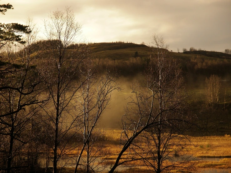 the view of mountains and trees with fog