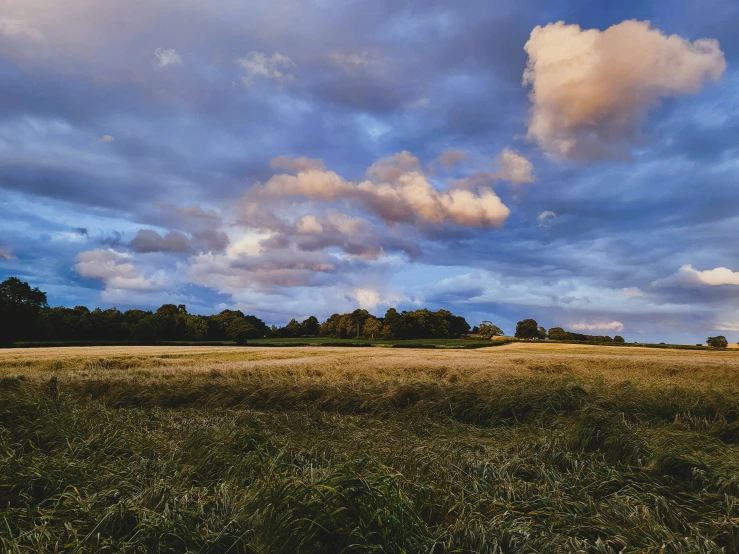 the sky is full of clouds and blue grass