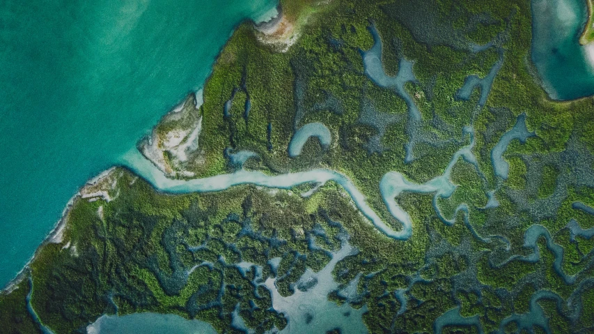 aerial view of the shoreline and water along a beach