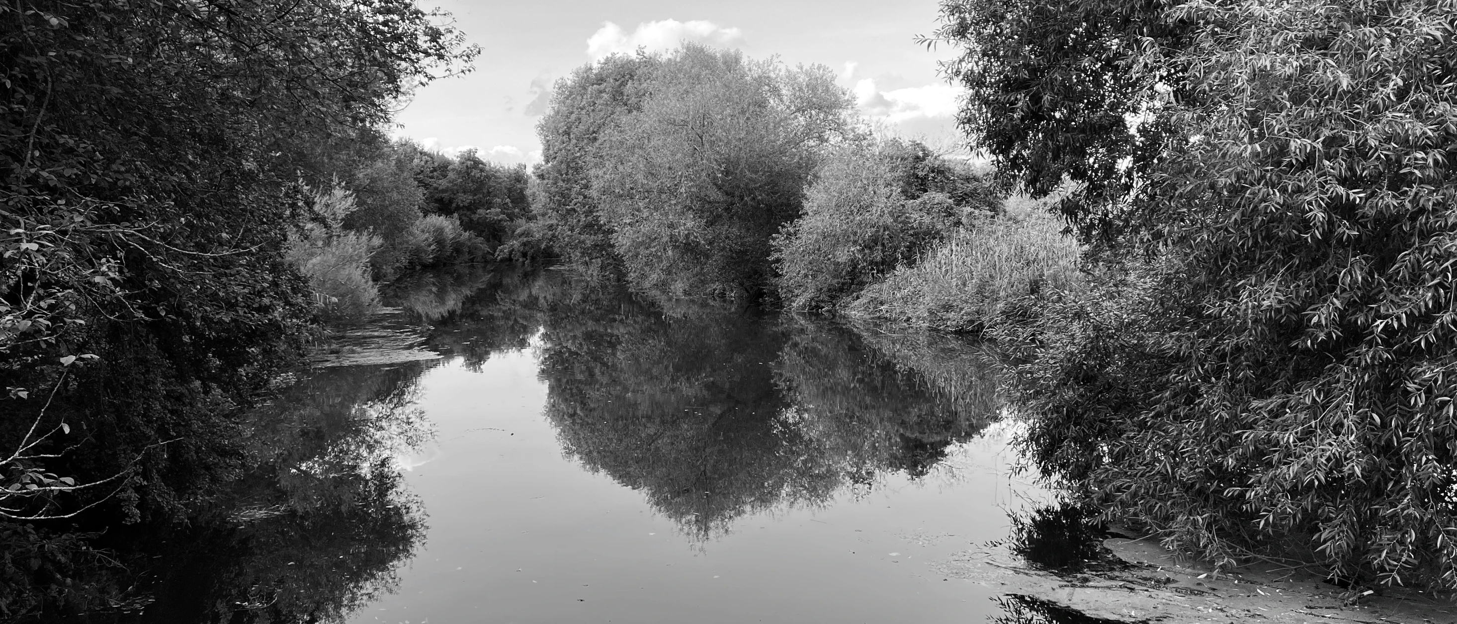 a dark river with a bunch of trees on either side