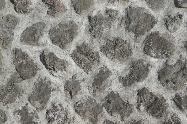 a pograph of a stone surface that looks like animals tracks