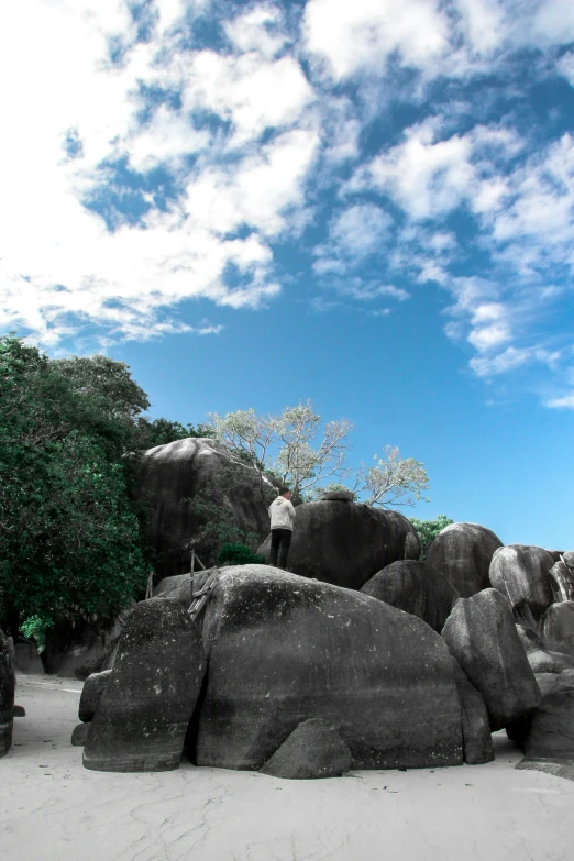 some people are standing on rocks with trees behind them