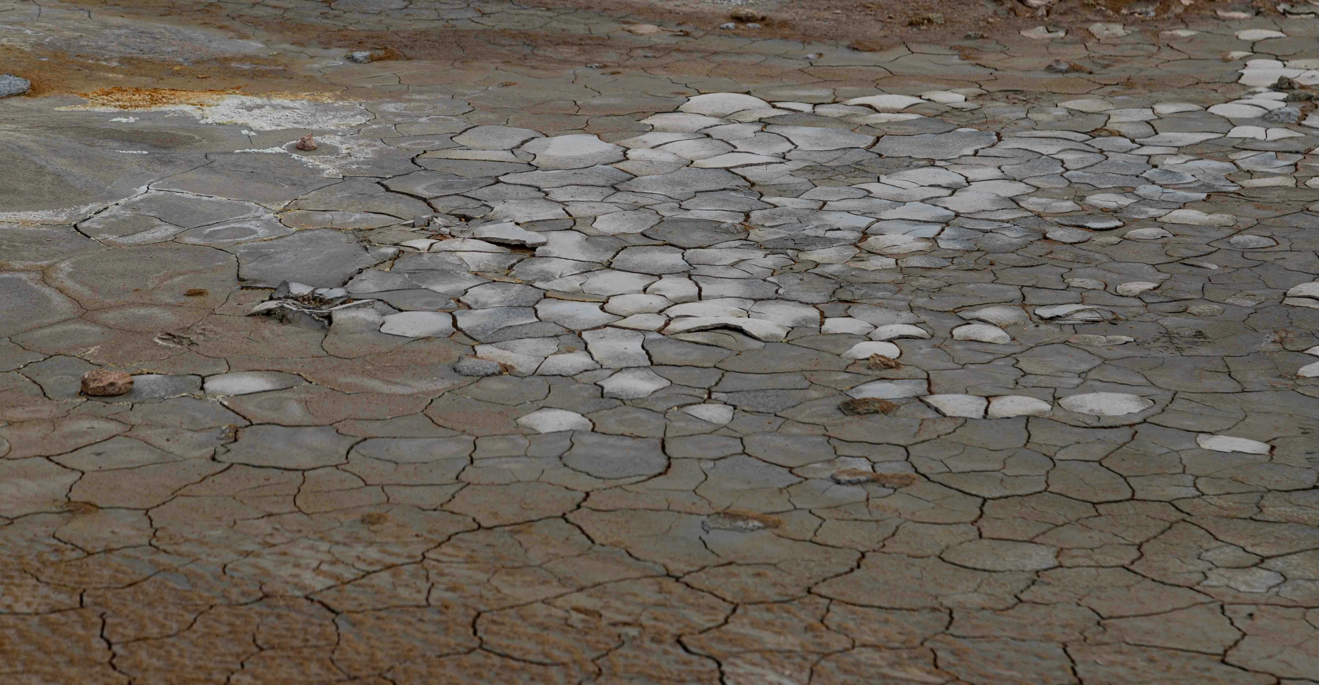 white rocks cover the ground in a dry area