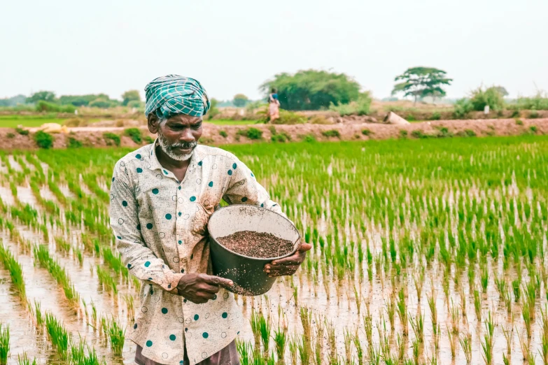 a man in a field with a basket