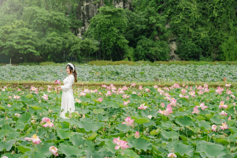 a woman in a field of lotus flowers