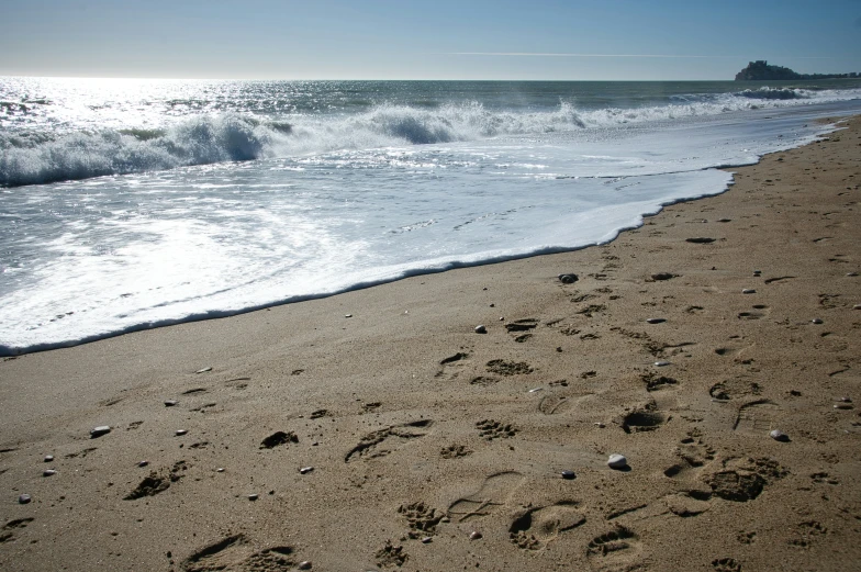 footprints and prints of people on the beach