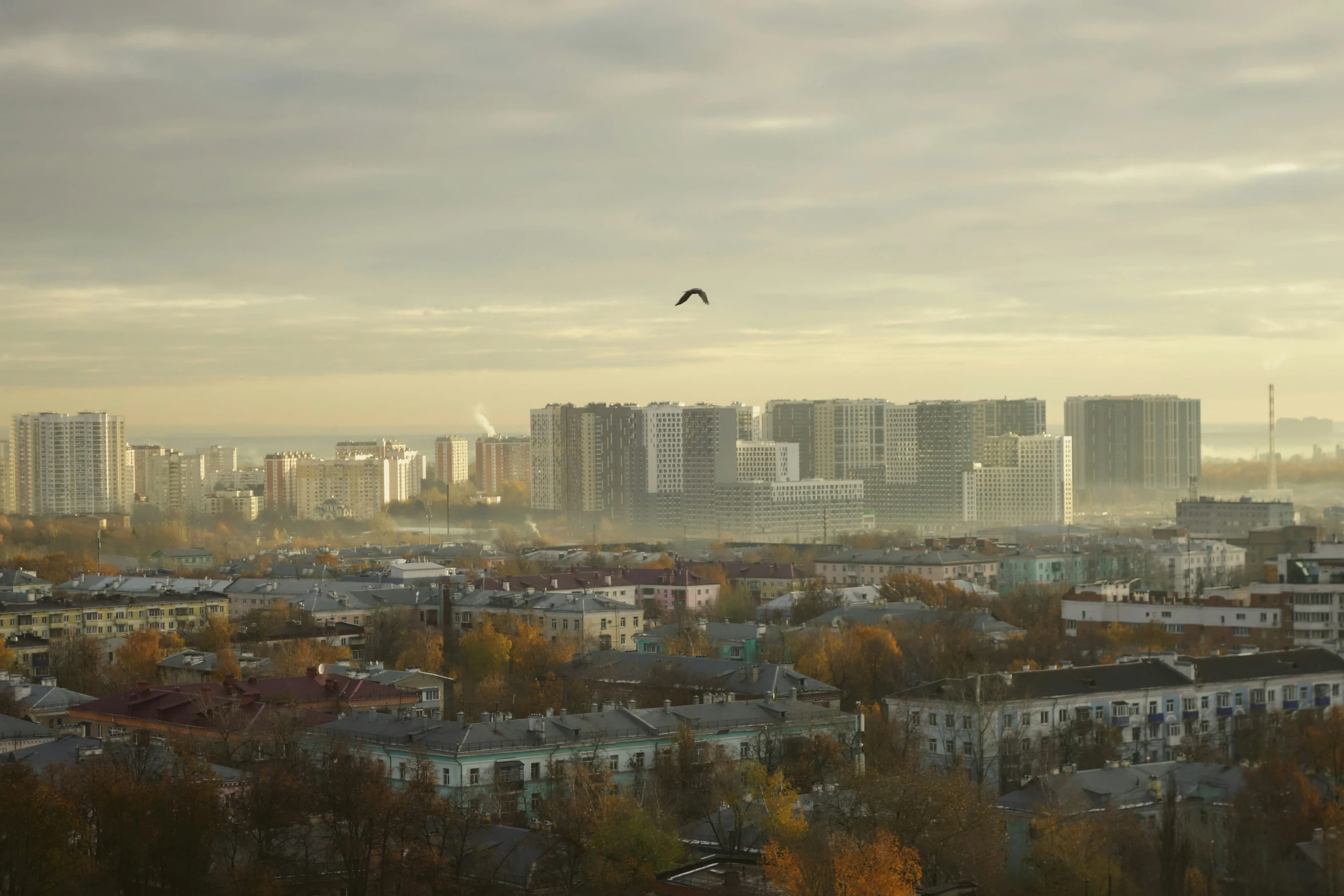 two birds fly high in the sky near large buildings