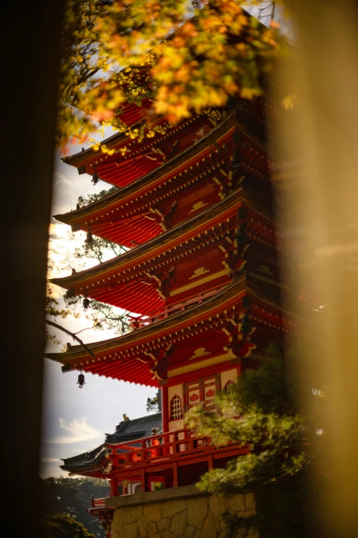 the architecture of a chinese temple stands with beautiful fall foliage