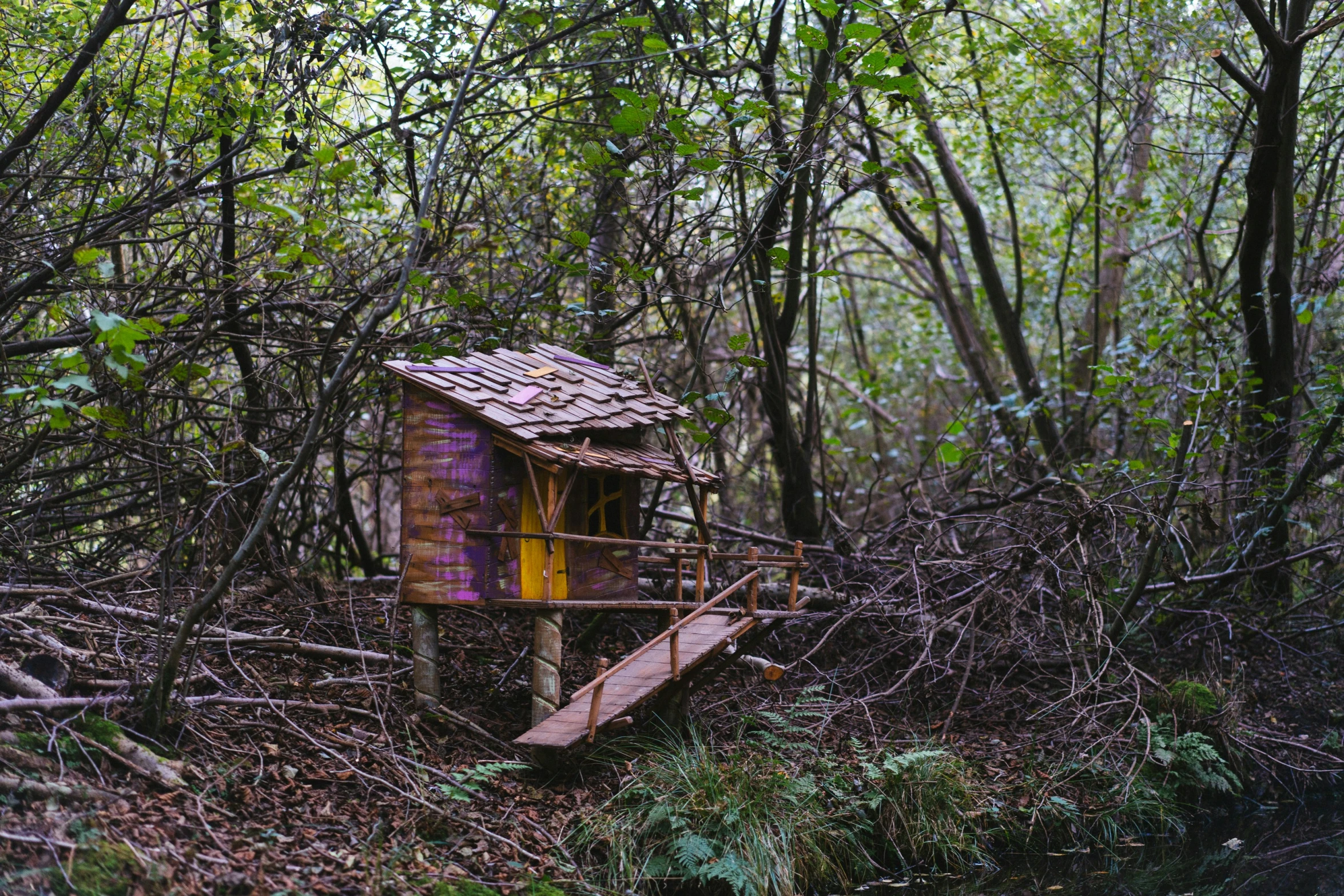 an old wooden building in the woods near some tree limbs