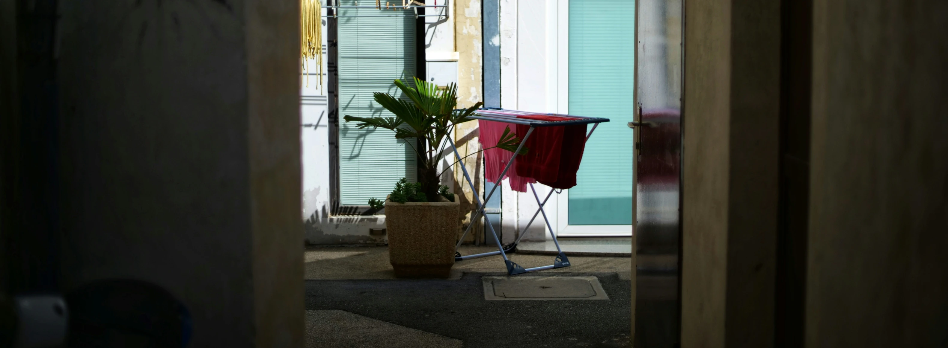 an open doorway looking at the street with potted plant in it