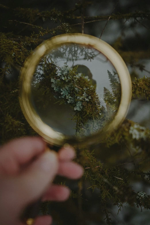 a hand is holding a magnifying glass with trees reflected in it