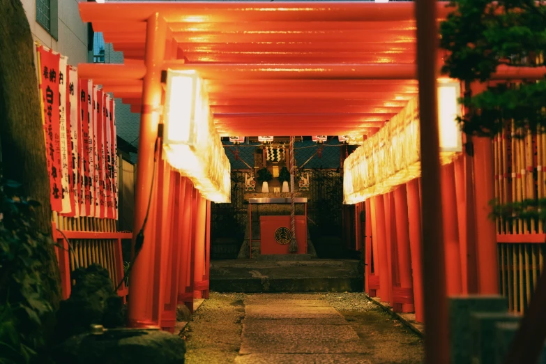 a pathway with red and orange archways and lanterns