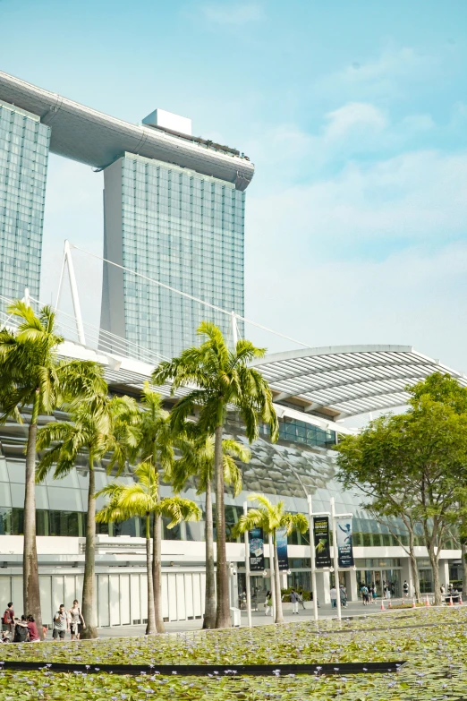 large glass buildings and palm trees along the water