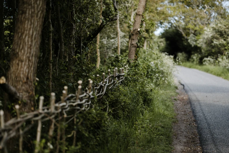 a close up of a fence on a rural street